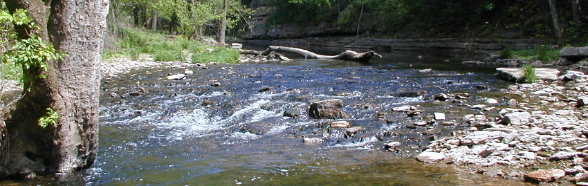 Water flowing over rocks in a creek